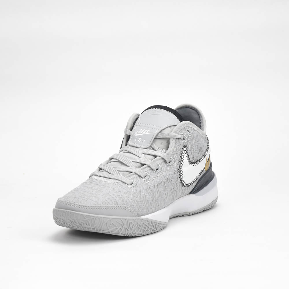 Nike Zoom LeBron NXXT Gen