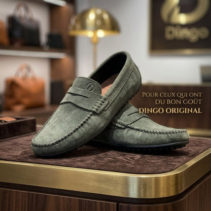Dingoo mocassin originial